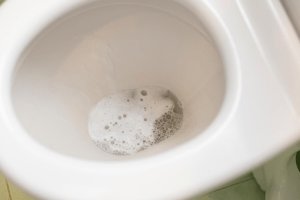 Always check before you flush