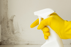 Spraying mold remover using a spray bottle